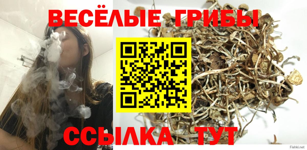 Псилоцибиновые грибы MAGIC MUSHROOMS  Псилоцибиновые грибы ЛСД  Вход с VPN  Ступино 