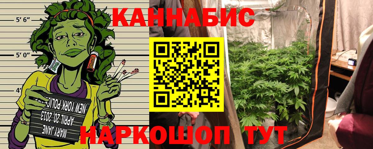 Бошки марихуана VHQ Ступино